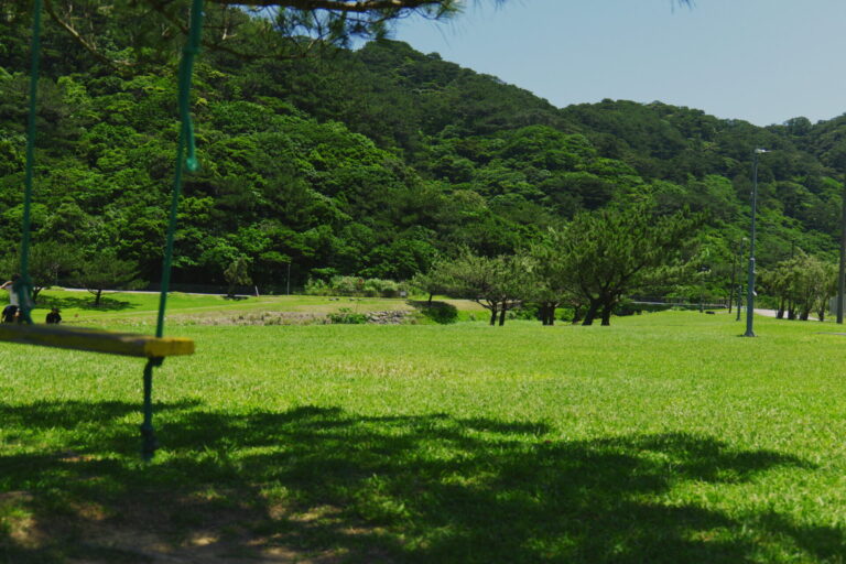 深い緑、広い芝、揺れるブランコ。完璧じゃない、でも、ずっとここにいたい風景。