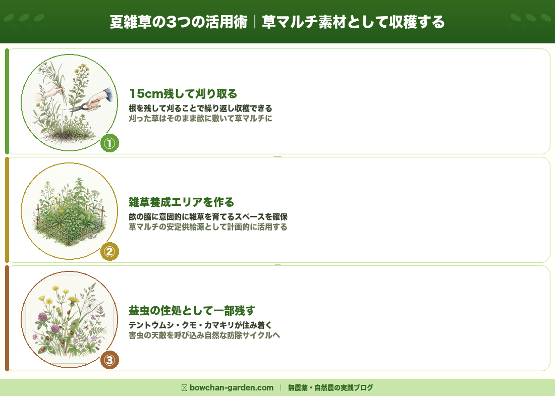 夏雑草の3つの活用術｜草マルチ素材として収穫する