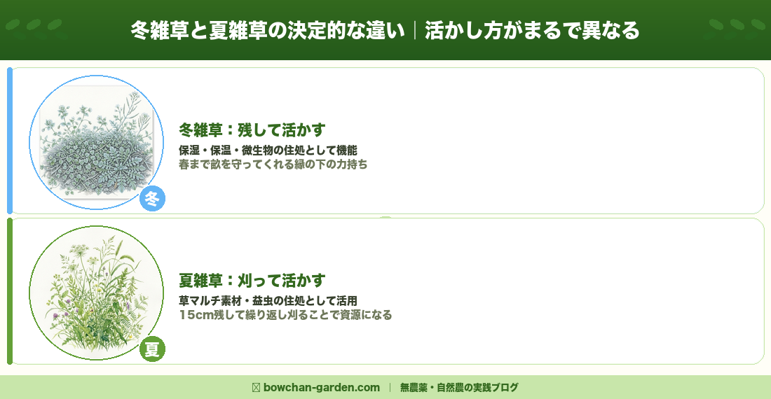 冬雑草と夏雑草の決定的な違い｜活かし方の比較
