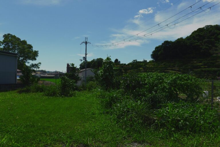 梅雨明けの空は、夏のあお