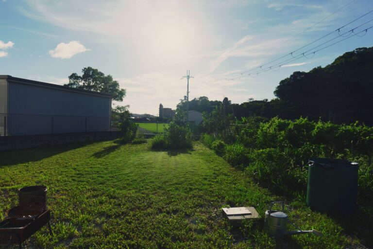 夕方の、草の小道
