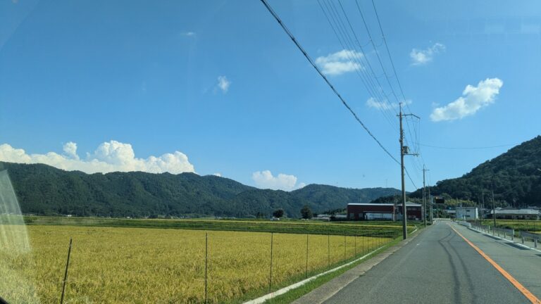 黄金色になるまで、あと少し