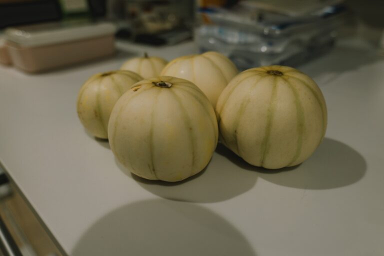食べられた葉の、その先に