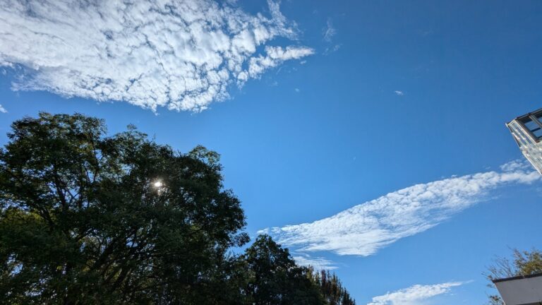 見上げたら、秋の雲