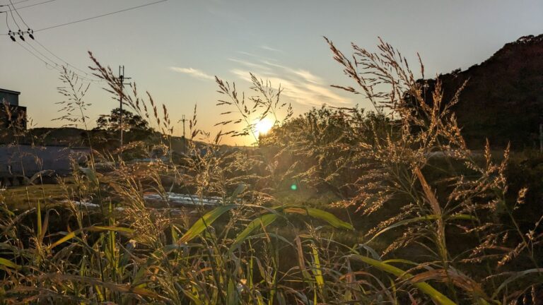 夕暮れの、秋の香り